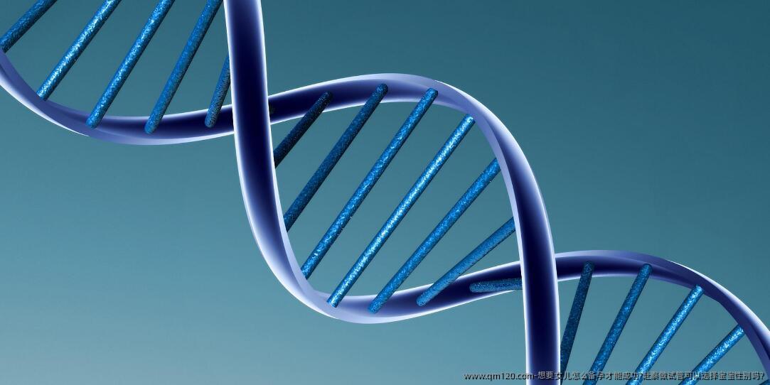 想要孩子怎么备孕才能成功?赴泰做试管可以选择宝宝**吗?‌