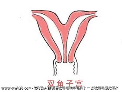太和县人民医院试管成功率高吗？一次试管能成功吗？