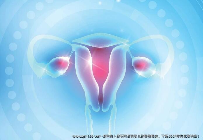 湖南省人民医院试管婴儿的费用曝光，了解2024年总花费明细！