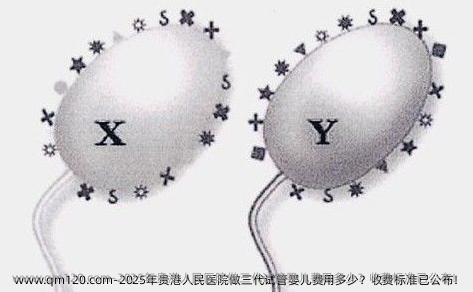 2025年贵港人民医院做三代试管婴儿费用多少？收费标准已公布！
