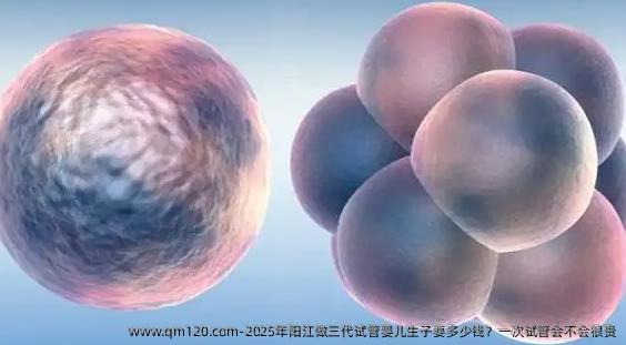 2025年阳江做三代试管婴儿生子要多少钱？一次试管会不会很贵