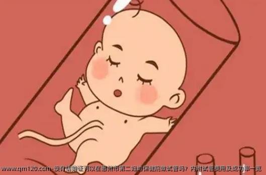 没有结婚证可以在惠州市第二妇幼保健院做试管吗？内附试管费用及成功率一览