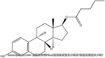 哈萨克斯坦Plivat医院做试管多少钱呢?准备花费是多少钱?