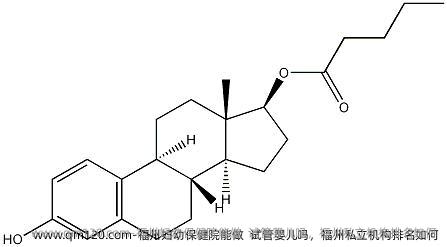 福州妇幼保健院能做试管婴儿吗，福州私立机构排名如何