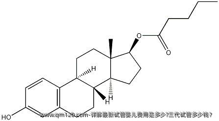详解最新试管婴儿费用是多少?三代试管多少钱？