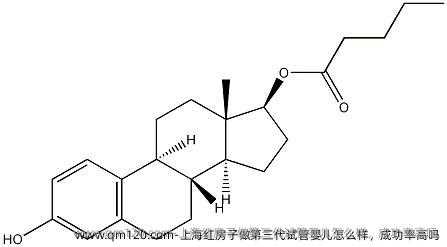 上海红房子做第三代试管婴儿怎么样，成功率高吗