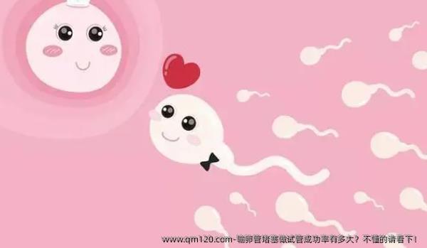 输卵管堵塞做试管成功率有多大？不懂的请看下！
