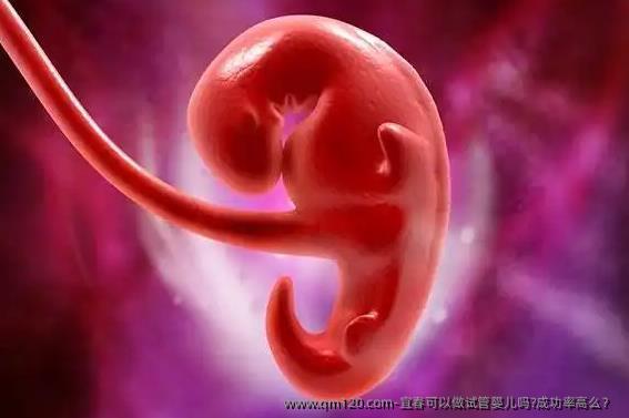 宜春可以做试管婴儿吗?成功率高么？ 