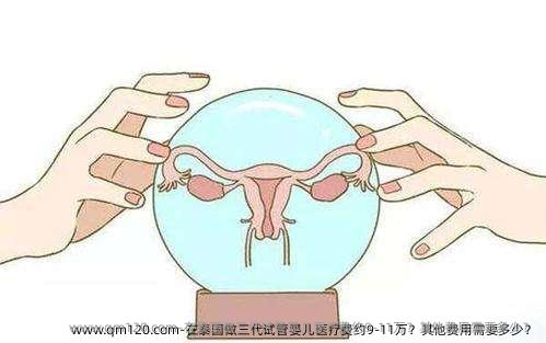 在泰国做三代试管婴儿医疗费约9-11万？其他费用需要多少？