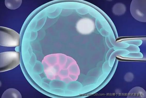 邢台哪个医院能做试管婴儿 