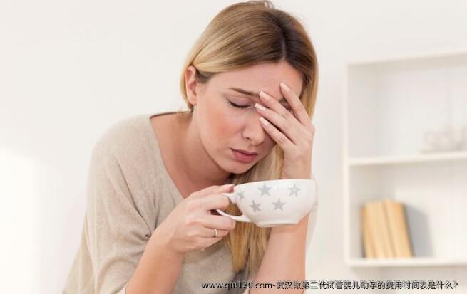 武汉做第三代试管婴儿助孕的费用时间表是什么?