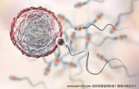 北京试管医院排名？费用大概多少？