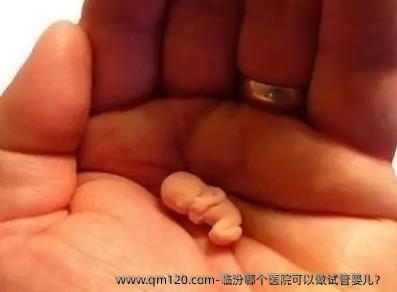 临汾哪个医院可以做试管婴儿？ 
