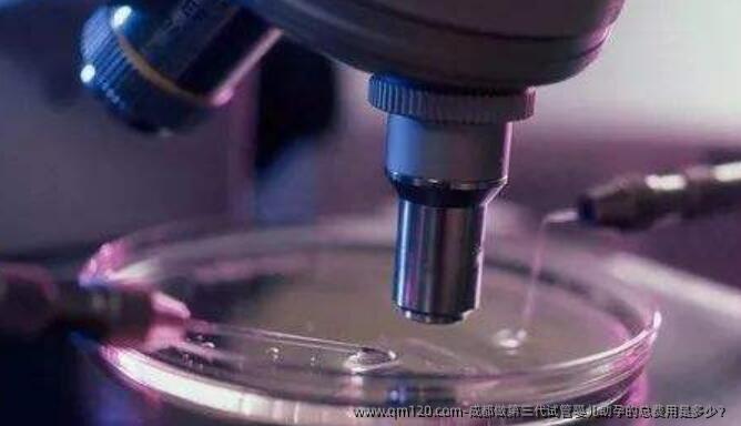 成都做第三代试管婴儿助孕的总费用是多少?