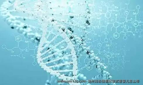 湖州妇幼保健院做试管婴儿怎么样 