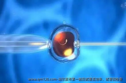 哈尔滨市第一医院试管成功率、试管前检查 