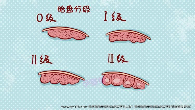 助孕期间甲状腺功能异常怎么办？助孕期间甲状腺功能异常影响胚胎发育吗？