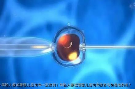 年轻人做试管婴儿成功率一定高吗？年轻人做试管婴儿成功率是否与免疫也有关？