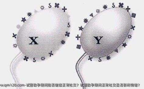 试管助孕期间能否继续正常社交？试管助孕期间正常社交是否影响情绪？