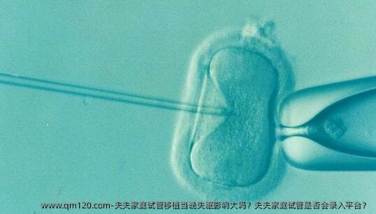夫夫家庭试管移植当晚失眠影响大吗？夫夫家庭试管是否会录入平台？