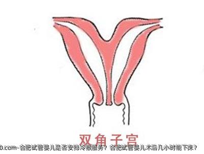 合肥试管婴儿是否安排冷敷服务？合肥试管婴儿术后几小时能下床？