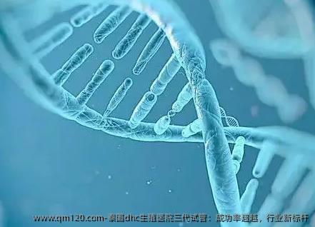 泰国dhc生殖医院三代试管：成功率超越，行业新标杆