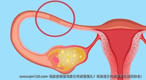 石家庄哪里有第三代试管婴儿？石家庄三代试管婴儿医院排名！