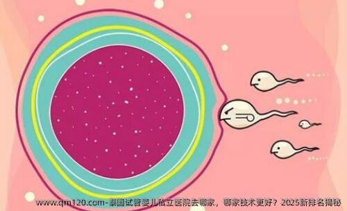 泰国试管婴儿私立医院去哪家，哪家技术更好？2025新排名揭秘
