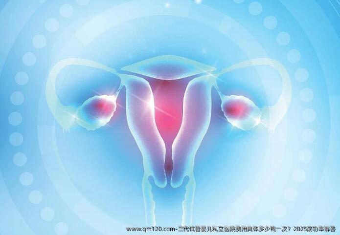 三代试管婴儿私立医院费用具体多少钱一次？2025成功率解答