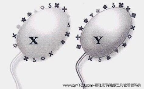 镇江市有能做三代试管医院吗