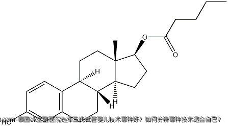 泰国ek生殖医院选择三代试管婴儿技术哪种好？如何分辨哪种技术适合自己？