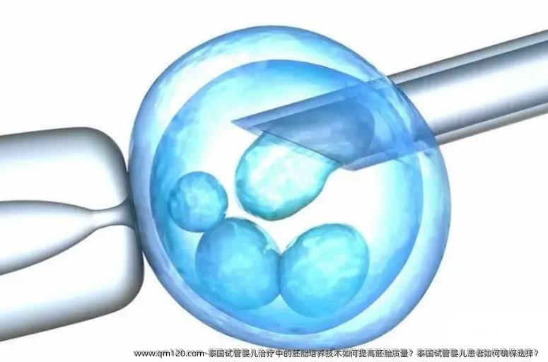 泰国试管婴儿治疗中的胚胎培养技术如何提高胚胎质量？泰国试管婴儿患者如何确保选择？