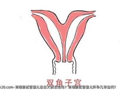 柬埔寨试管婴儿适合大龄女性吗？柬埔寨试管婴儿怀孕几率如何？