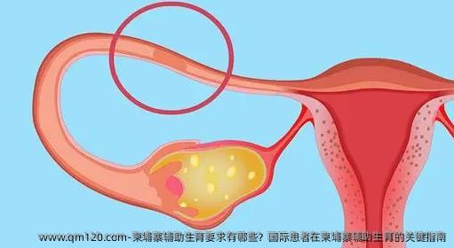 柬埔寨辅助生育要求有哪些？国际患者在柬埔寨辅助生育的关键指南