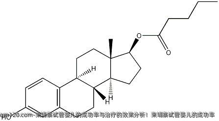 柬埔寨试管婴儿的成功率与治疗的效果分析！柬埔寨试管婴儿的成功率