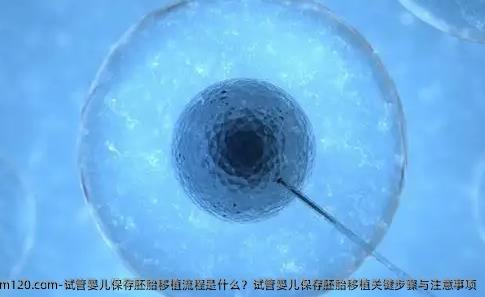 试管婴儿保存胚胎移植流程是什么？试管婴儿保存胚胎移植关键步骤与注意事项