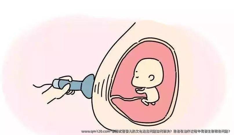 泰国试管婴儿的文化适应问题如何解决？患者在治疗过程中需要注意哪些问题？