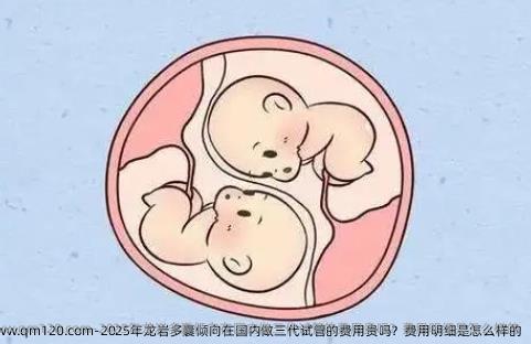 2025年龙岩多囊倾向在国内做三代试管的费用贵吗？费用明细是怎么样的