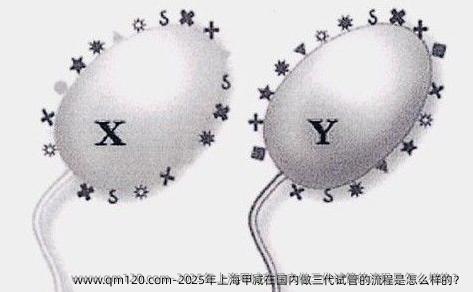 2025年上海甲减在国内做三代试管的流程是怎么样的？