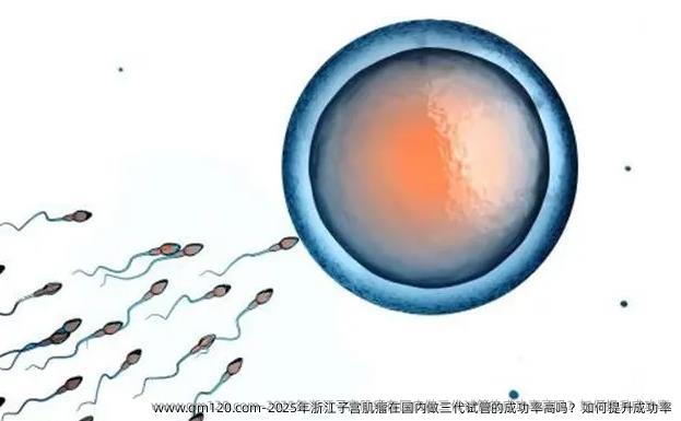 2025年浙江子宫肌瘤在国内做三代试管的成功率高吗？如何提升成功率