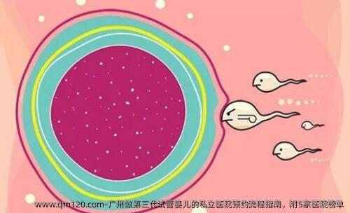 广州做第三代试管婴儿的私立医院预约流程指南，附5家医院榜单