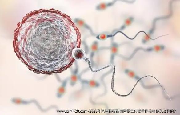 2025年泉州拉拉在国内做三代试管的流程是怎么样的？