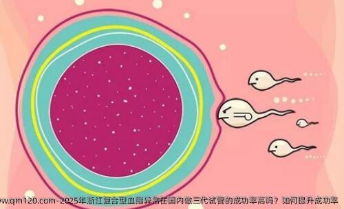 2025年浙江复合型血脂异常在国内做三代试管的成功率高吗？如何提升成功率