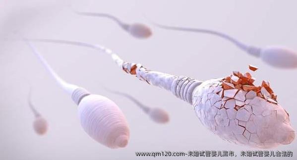 未婚试管婴儿**，未婚试管婴儿合法的