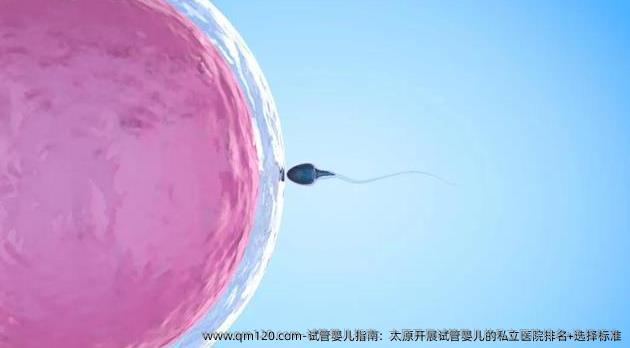 试管婴儿指南：太原开展试管婴儿的私立医院排名+选择标准
