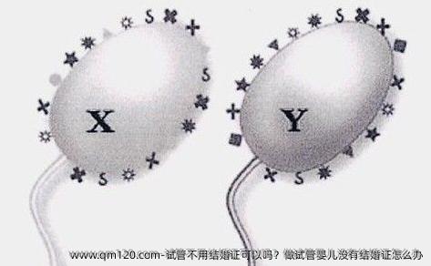 试管不用结婚证可以吗？做试管婴儿没有结婚证怎么办