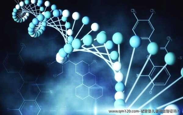 试管婴儿要带结婚证吗？