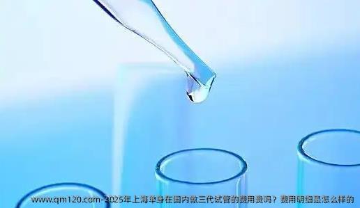 2025年上海单身在国内做三代试管的费用贵吗？费用明细是怎么样的