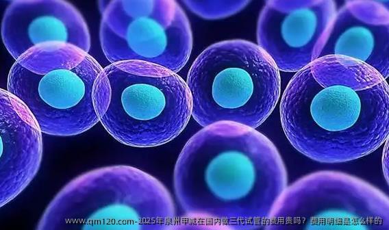 2025年泉州甲减在国内做三代试管的费用贵吗?费用明细是怎么样的