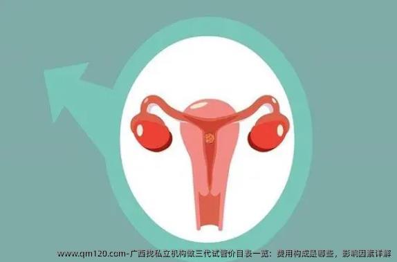 广西找机构做三代试管价目表一览：费用构成是哪些，影响因素详解